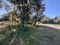 Vacant lot adjacent to a blue house at 216 N Salem St, Eustis, FL 32726