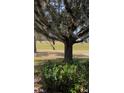 Landscaped backyard with a view of a lush golf course at 13026 Se 97Th Terrace Rd, Summerfield, FL 34491