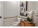 Accessible bathroom with handrails, a modern toilet, and decorative accents enhancing the space at 2136 Babbling Brook Blvd, Auburndale, FL 33823