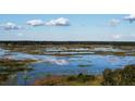 Scenic aerial view of a sprawling marsh landscape under a bright blue sky with scattered clouds at 11990 Se 112Th Avenue Rd, Belleview, FL 34420