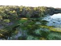 Aerial view of waterfront property boasting a scenic shoreline with a mix of vegetation and open water at 11990 Se 112Th Avenue Rd, Belleview, FL 34420