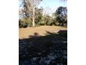 Expansive backyard featuring lush green grass and mature trees, perfect for outdoor activities at 3695 Dale Ct, Mount Dora, FL 32757