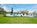 Spacious backyard featuring a shed, providing ample storage and outdoor potential at 101 Ellison Ave, New Smyrna Beach, FL 32168