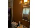 Bathroom with brown wall, vanity, toilet, and floral print curtain and mirror at 5195 Edwina St, Orlando, FL 32811
