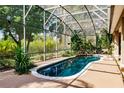 Screened-in pool featuring a waterfall and lush tropical plants, creating a private and relaxing oasis at 17358 Hwy 27, Clermont, FL 34715