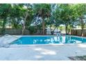 Large backyard pool surrounded by lush greenery and a wooden fence for privacy at 1501 7Th Se St, Winter Haven, FL 33880