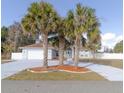 Inviting one-story home with mature palm trees accenting the front yard at 3955 Sw 139Th Street Rd, Ocala, FL 34473