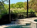 View from the pool featuring beautiful trees and landscaping in the backyard at 9632 Spring Lake Dr, Clermont, FL 34711