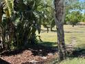 Landscaped backyard with mulch and trees for privacy and natural beauty at 9632 Spring Lake Dr, Clermont, FL 34711