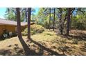 View of the backyard from the side of the house with mature trees at 20045 Sw 88Th Place Rd, Dunnellon, FL 34431