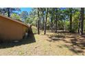 View of the backyard featuring a natural landscape with mature trees at 20045 Sw 88Th Place Rd, Dunnellon, FL 34431