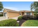 Charming single-story home with brick driveway and lush landscaping on a sunny day at 8166 Sw 80Th Ter, Ocala, FL 34476