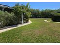 Expansive front yard with lush green grass and well-maintained landscaping, offering a serene outdoor space at 4213 E Michigan St # 4213, Orlando, FL 32812