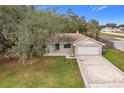 Front view of a single-story house with a large yard and a driveway at 4201 Shadow Wood Dr, Winter Haven, FL 33880