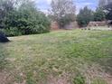 Backyard with grassy area and playground equipment at 121 7Th Terrace Wahneta Way, Winter Haven, FL 33880