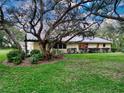 Lush backyard with expansive lawn area and mature landscaping, perfect for outdoor enjoyment at 41 Spring Ln, Haines City, FL 33844