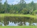 Scenic view of a tranquil pond reflecting the lush greenery surrounding the property at 1414 Fox Squirrel Dr, Davenport, FL 33897