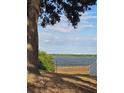 Scenic lake view framed by a mature tree, showing the natural beauty of the waterfront property at 294 Winter Ridge Blvd # 294, Winter Haven, FL 33881