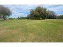 Expansive grassy land with mature trees, perfect for building or recreation at 4151 Boggy Creek Rd, Kissimmee, FL 34744