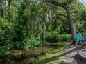 Secluded backyard creek surrounded by lush greenery and mature trees, providing a serene natural setting at 5427 Orange Valley Dr, Lakeland, FL 33813