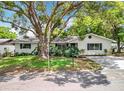 Lovely single Gathering home with lush green lawn and mature trees providing ample shade at 603 Solana St, Lakeland, FL 33813