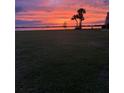 Expansive waterfront view at sunset with palm trees and grassy field in the foreground at 804 Magnolia Pl # 804, Winter Haven, FL 33884
