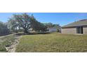 Expansive backyard with a large tree, offering ample space and privacy for outdoor activities at 521 Cardinal Dr, Poinciana, FL 34759