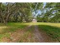A view of the home from the driveway showing the lush yard and tree coverage at 18829 Starry St, Orlando, FL 32833