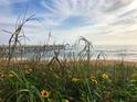 Seaside scenery showcases grassy dunes leading to a wooden pier, framed by a sunny sky at 50 Ocean Palm Villa S, Flagler Beach, FL 32136