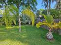 Relaxing backyard with tropical plants and grassy area at 41 Laurel Oaks Cir, Ormond Beach, FL 32174