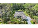 An aerial view shows the beautiful home with a screened-in pool and a paved driveway surrounded by lush landscaping at 2337 Legacy Ln, New Smyrna Beach, FL 32168