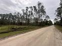 A serene view of a dirt road winding through a property dotted with mature trees at 2119 East Pkwy, Deland, FL 32724