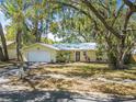 Inviting single-story yellow home with a well-kept lawn, mature trees, and a convenient attached garage at 1432 Mollie Rd, Daytona Beach, FL 32114