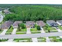 Aerial view of beautiful homes in a desirable neighborhood with mature trees in the background at 5 Cantilever Ct, Ormond Beach, FL 32174