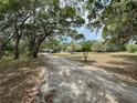 Long, leaf-strewn driveway leading to a home surrounded by mature trees and open land at 486 S Us Highway 1, Oak Hill, FL 32759