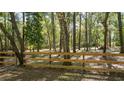 View of new wood fence surrounding the perimeter of a heavily wooded backyard at 3720 Willow Ave, Deland, FL 32720