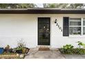Close-up of front door of home with potted plants and decorative tile walkway at 2101 Almond St, Orange City, FL 32763
