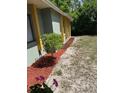 A mulch bed with newly-planted small tree to the side of the house at 1561 Copperfield Ave, Deltona, FL 32738
