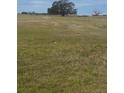 An expansive grassy field with scattered trees under a bright blue sky on a large lot at 10739 Fiesta St, Clermont, FL 34711