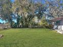 Large backyard with lush grass and oak trees at 11635 Se Highway 42, Weirsdale, FL 32195