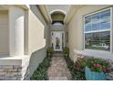 Front entry with a walkway, stone, and potted plants at 8732 Providence Ct, Mount Dora, FL 32757
