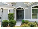 Elegant dark gray front door with glass accents and landscaping at 768 Bradford Loop, The Villages, FL 32163