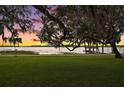 Scenic lake view at sunset with lush green lawn and large shade tree at 9345 Silver Lake Dr, Leesburg, FL 34788