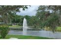 Beautiful pond view featuring a fountain, vibrant greenery, and mature trees, creating a peaceful community space at 103 Fountain Cv, Leesburg, FL 34748