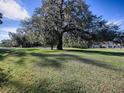 Expansive green space features a large oak tree with Spanish moss, adding natural charm to the landscape at 32619 Oak Park Dr, Leesburg, FL 34748