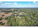Aerial view showing home nestled on a large lot with mature trees at 34620 Galla Rd, Fruitland Park, FL 34731