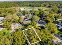 Aerial view of a residential area surrounded by lush trees and featuring a large field at Tbd E Jackson Ave, Mount Dora, FL 32757