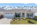 Single-story home featuring a lush green lawn, two-car garage, and tropical palm trees in the distance at 320 Zingale Ln, The Villages, FL 32163