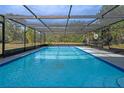 Inviting screened-in pool ready for relaxation at 1033 Shore Acres Rd, Mount Dora, FL 32757