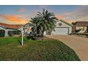 House exterior at sunset, featuring a palm tree and driveway at 1757 Landrum Ln, The Villages, FL 32162